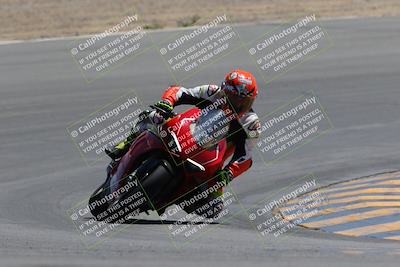 media/Apr-09-2023-SoCal Trackdays (Sun) [[333f347954]]/Turn 10 (115pm)/